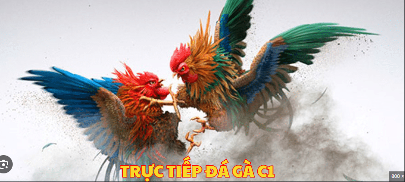 Các phương thức thanh toán hợp lệ ở Nohu90